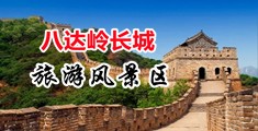 欧美肏大屄网站中国北京-八达岭长城旅游风景区